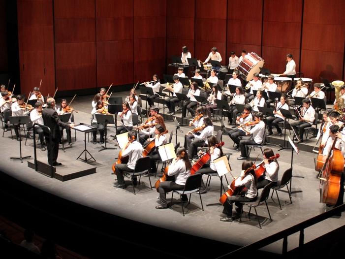 Con una selección de músicos e intrepretaciones, la orquesta juvenil de Valparaíso ofrecerá un concierto de cámara para todo público en uno de los salones del Palacio Lyon, actual sede del MHNV