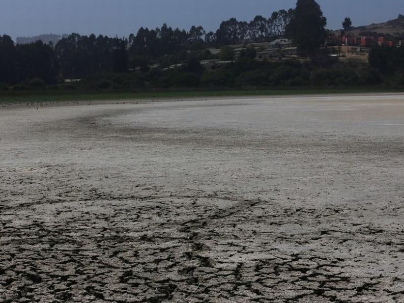 El Valor de Conservar la Biodiversidad del Santuario de la Naturaleza Laguna El Peral Santuario de la Naturaleza Laguna El Peral, humedal natural de la Región de Valparaíso. Créditos imágen: SoySanantonino