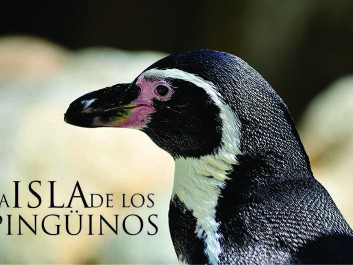 Documental de 23 min. de duración