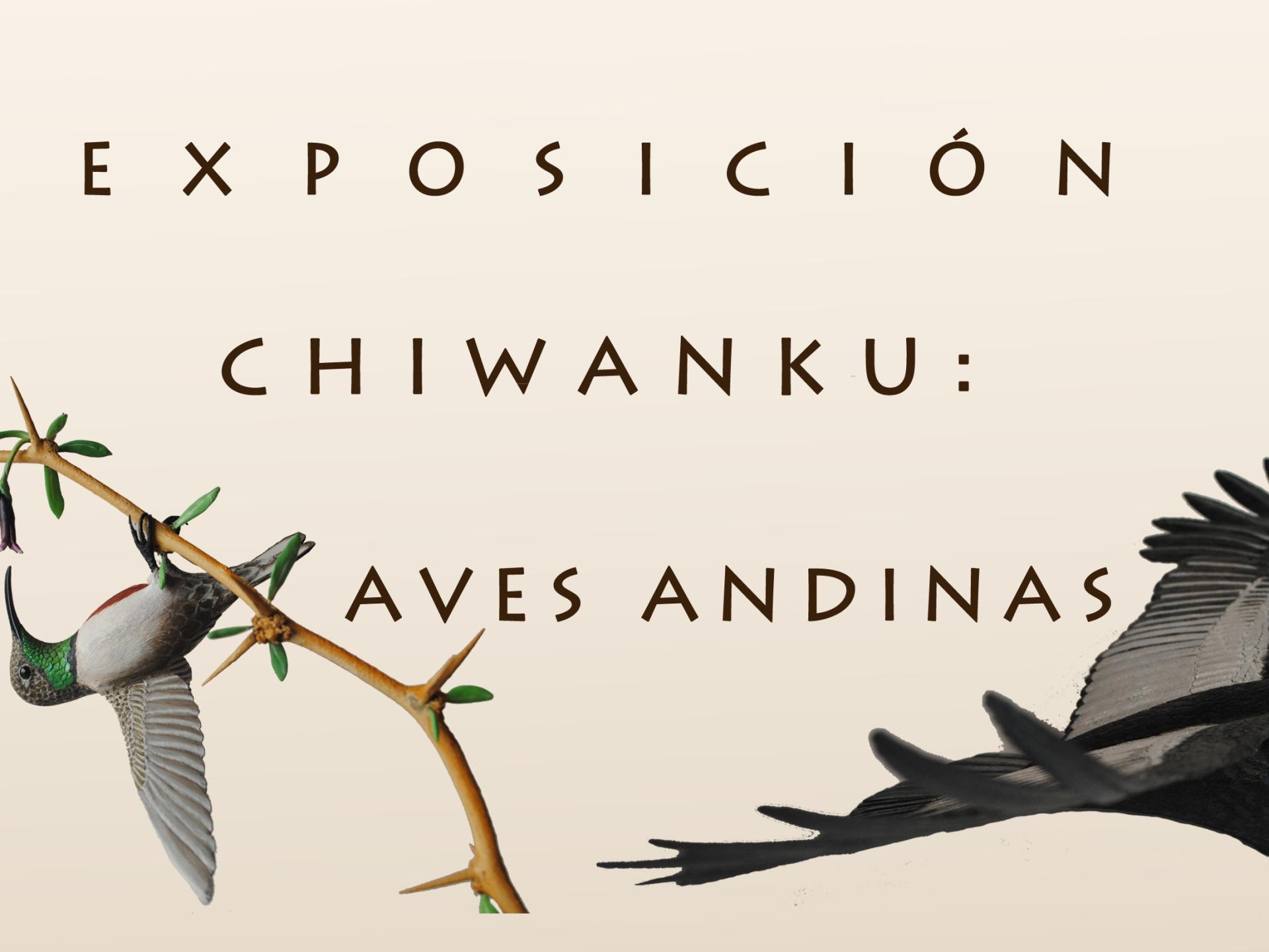 Chiwanku: Aves andinas, exposición de artesanía contemporánea 