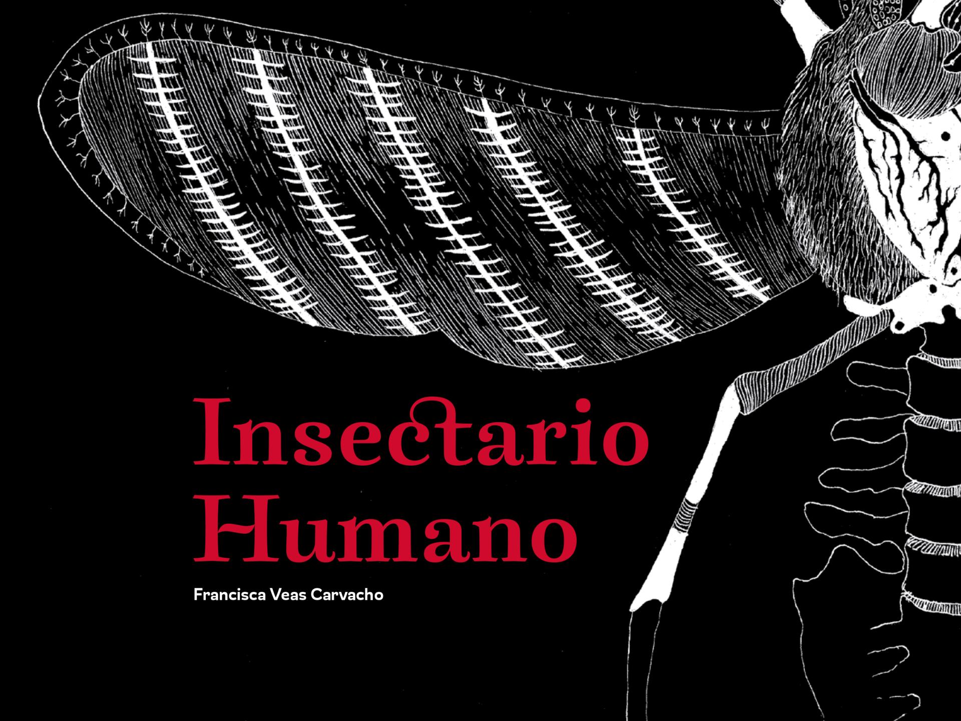 Libro de ilustraciones insectario humano de Francisca Veas