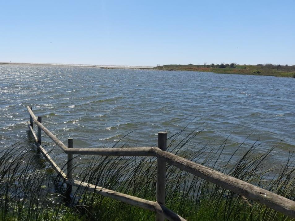 Fotografía del humedal en el Parque Ecológico La Isla, Concón. En la imagen se visualiza el humedal y su vegetación.