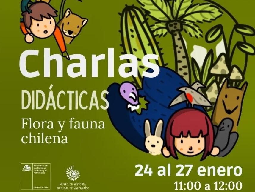 Afiche charlas didácticas