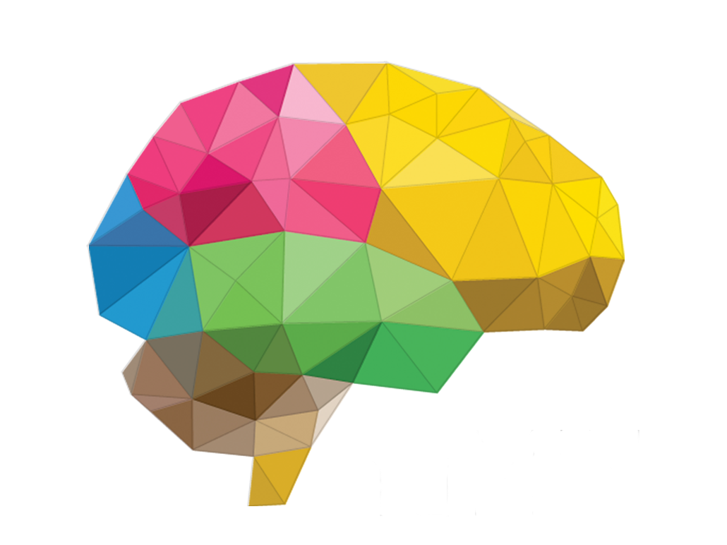 charlas en neurociencia