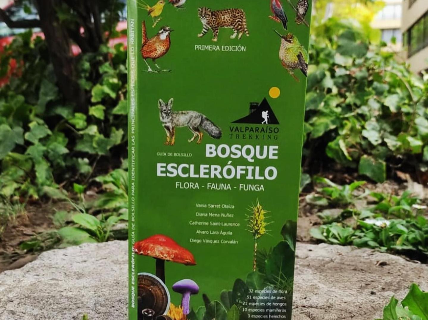guía de campo Bosque esclerófilo, Valparaíso Trekking