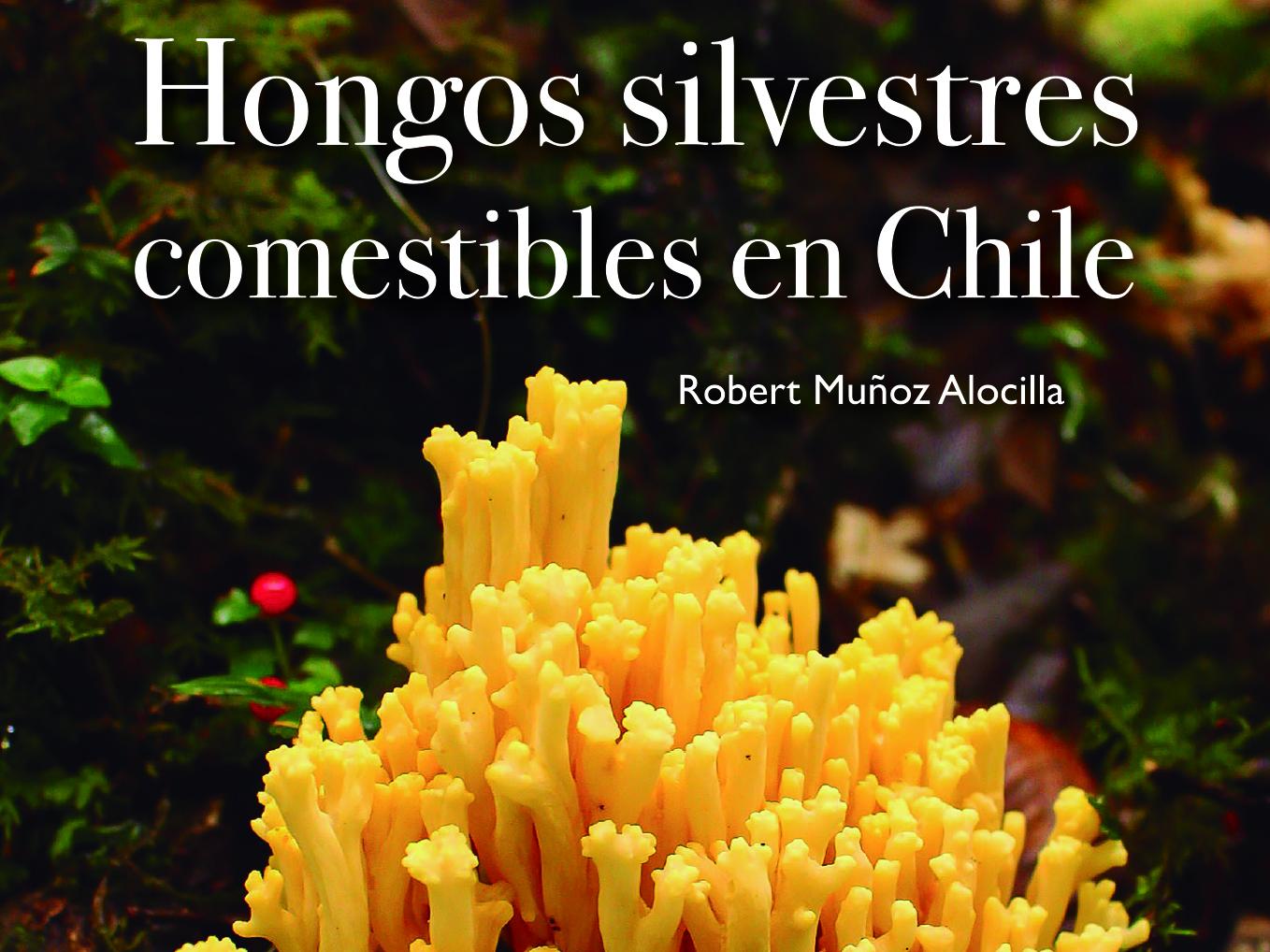 guía de campo hongos silvestres
