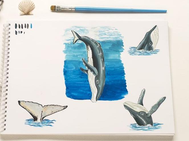 charla biodiversidad marina