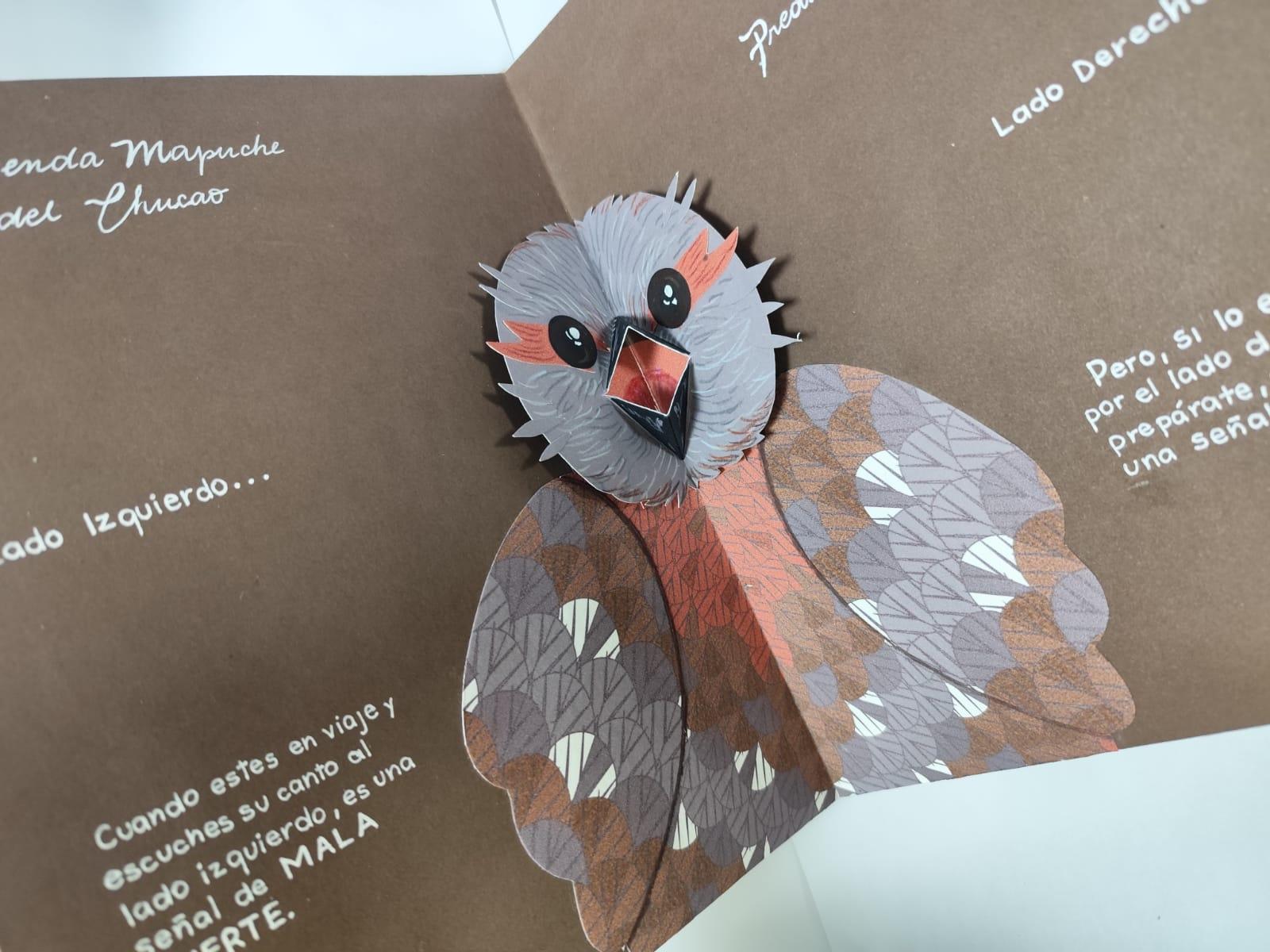 "Narrativas Visuales de Biodiversidad" proyecto de estudiantes de diseño