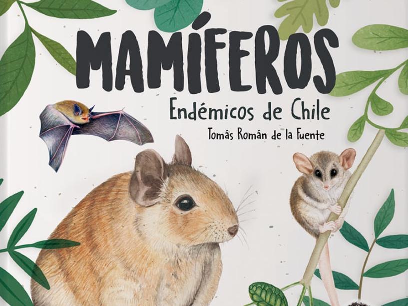 lanzamiento libro