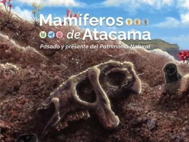 Mamíferos de Atacama: pasado y presente del Patrimonio Natural