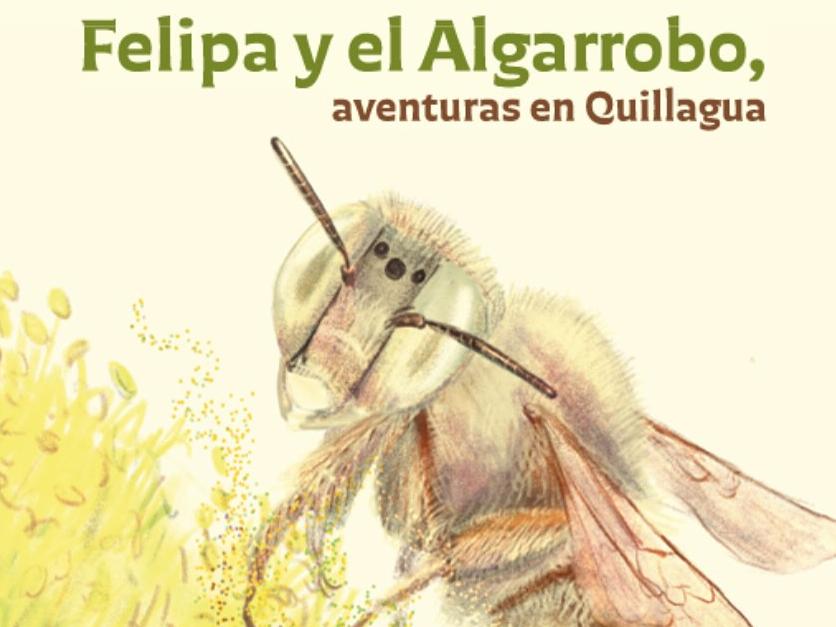 Libro infantil: Felipa y el Algarrobo, Aventuras en Quillagua