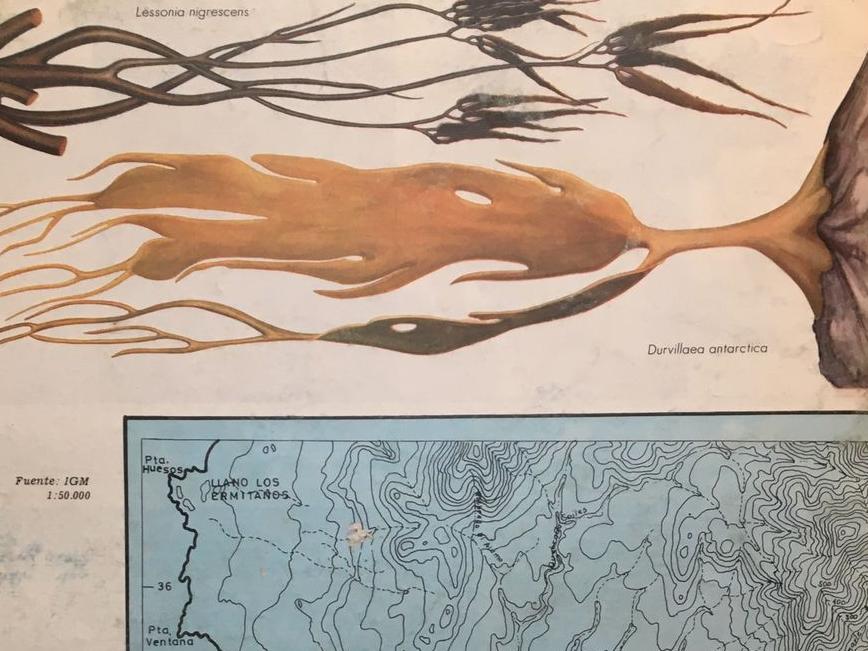 revista Expedición a Chile