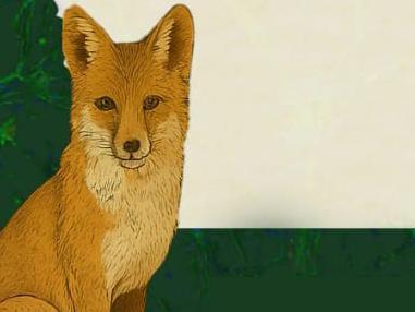 Charlas especializadas