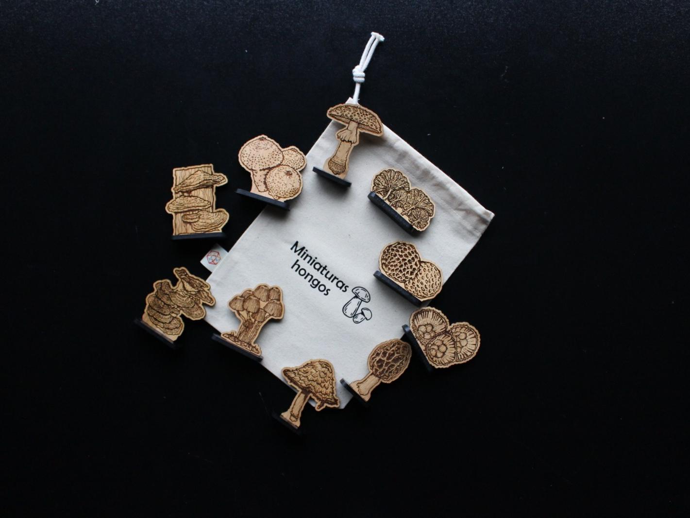 caja del descubrimiento reino fungi