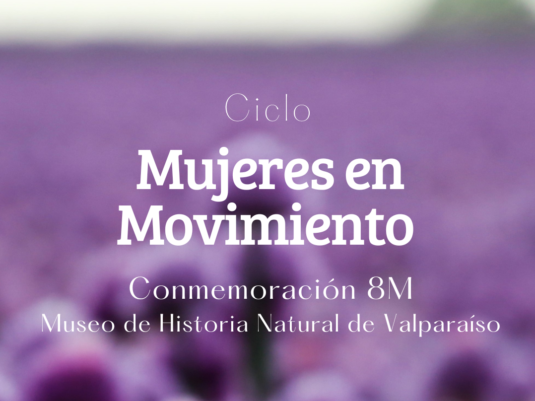 mujeres en movimiento