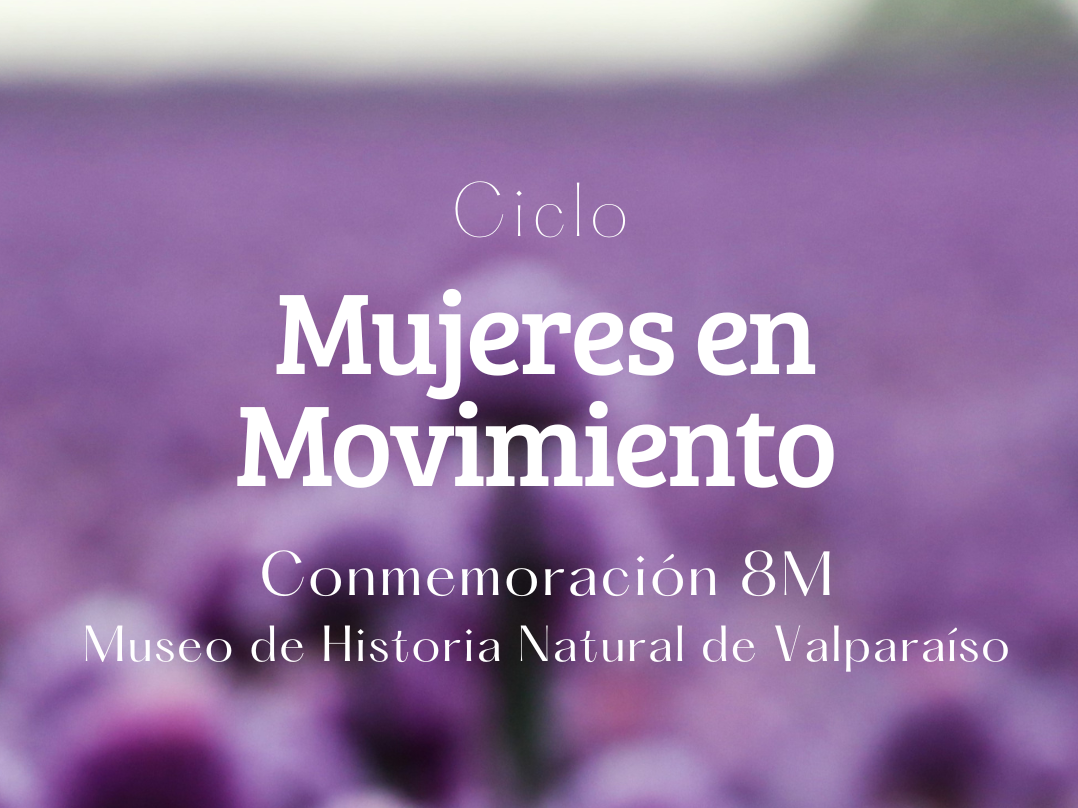mujeres en movimiento