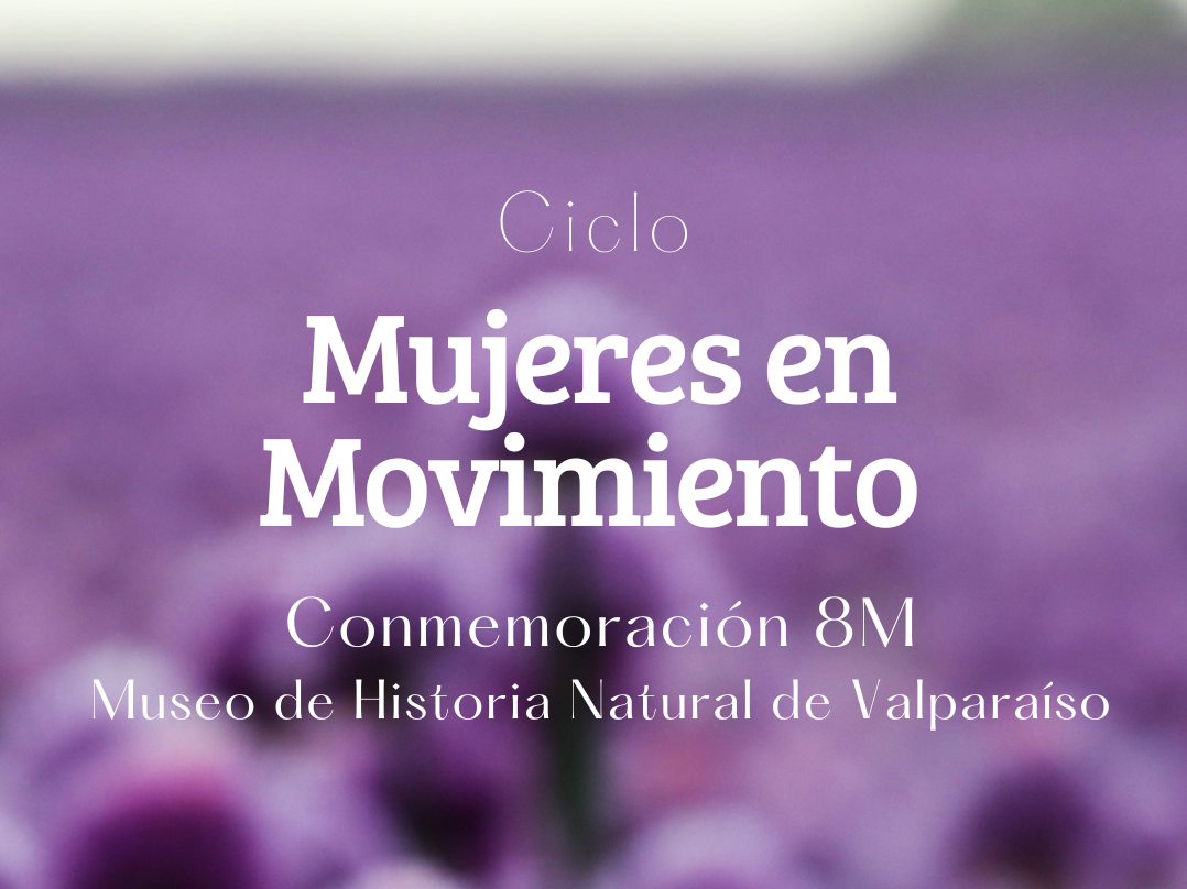mujeres en movimiento