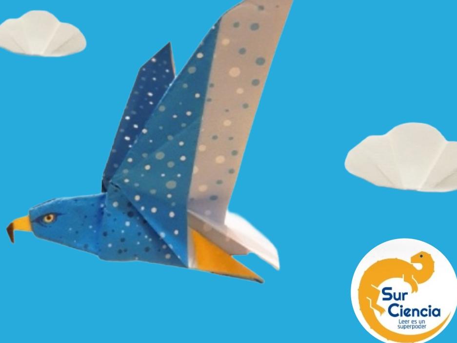 sur ciencia libro origami