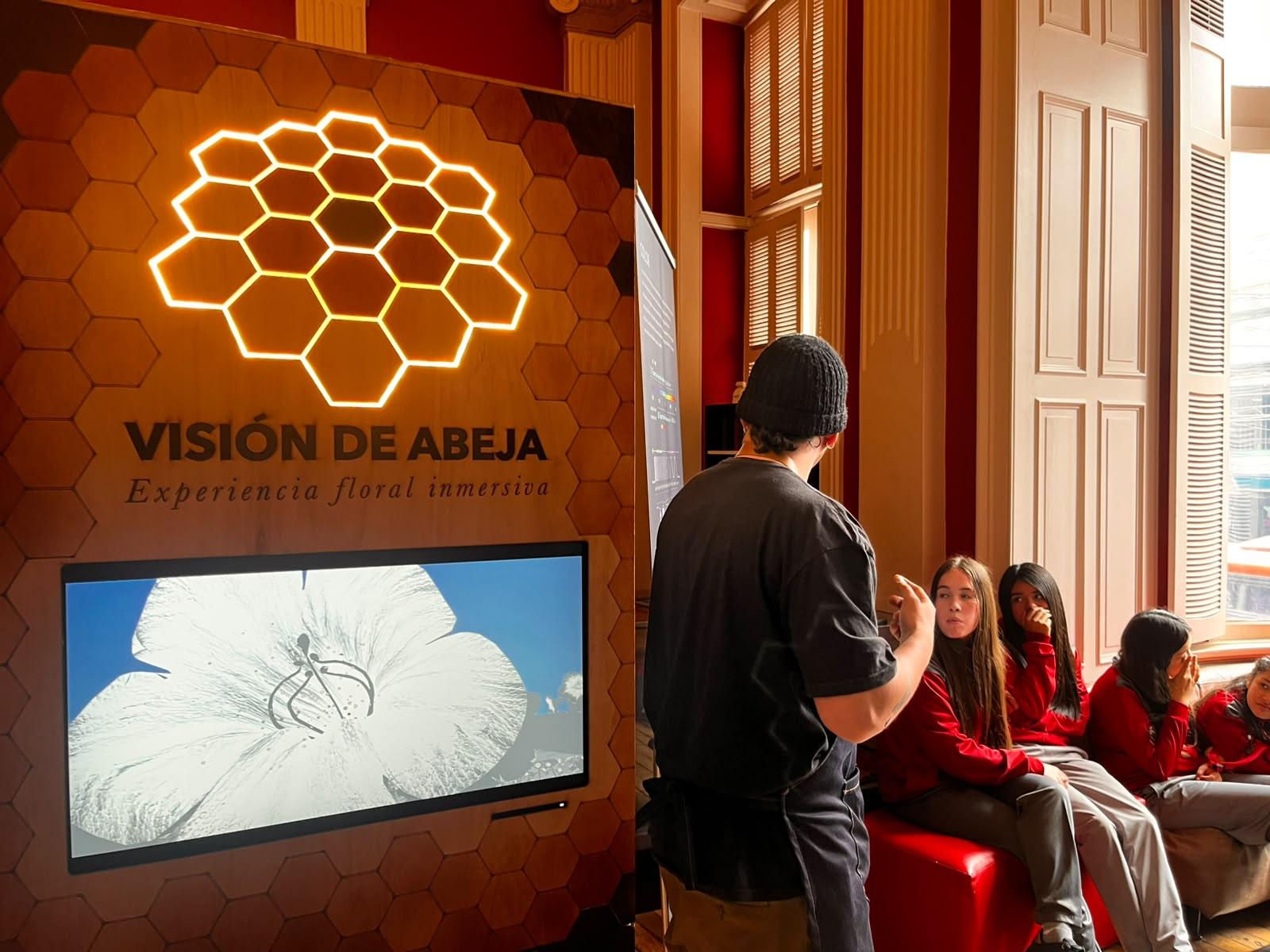 visión de abeja grupos visitantes