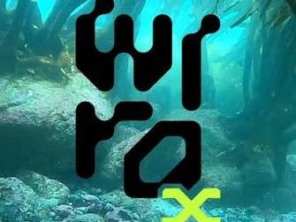 Proyecto wiro x