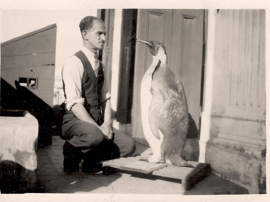 José Carpeneto observando su labor de taxidermia (un pingüino emperador)