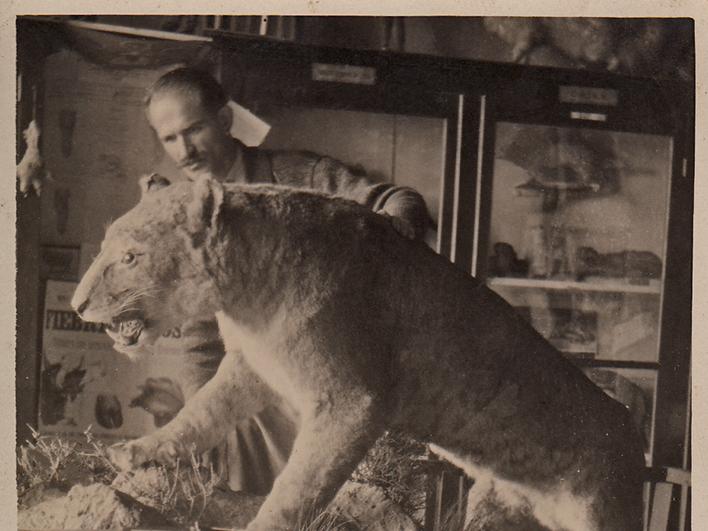 José Carpeneto con leona