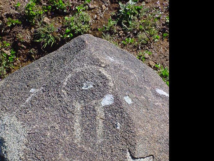 Petroglifo en cajón del valle de Chalinga