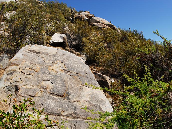 Petroglifo en sector Zapallar