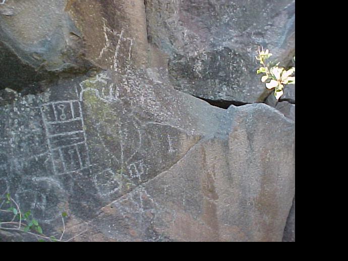 Petroglifo en cajón del valle de Chalinga