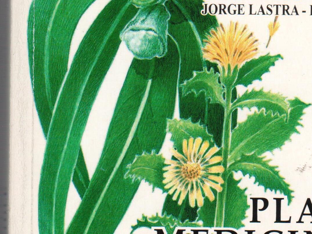 Plantas medicinales de uso común en Chile (2003)