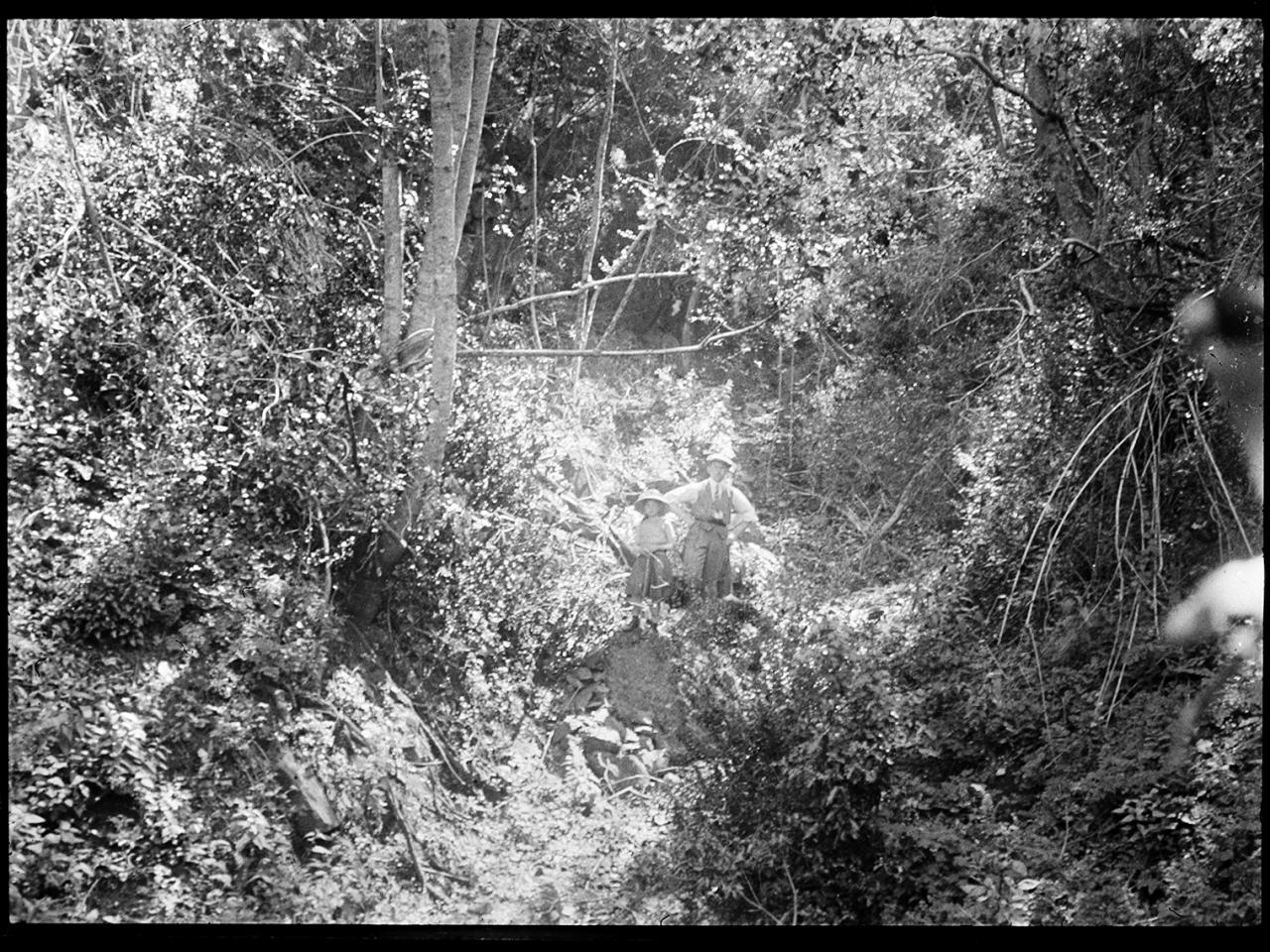 Un hombre y una niña en la naturaleza