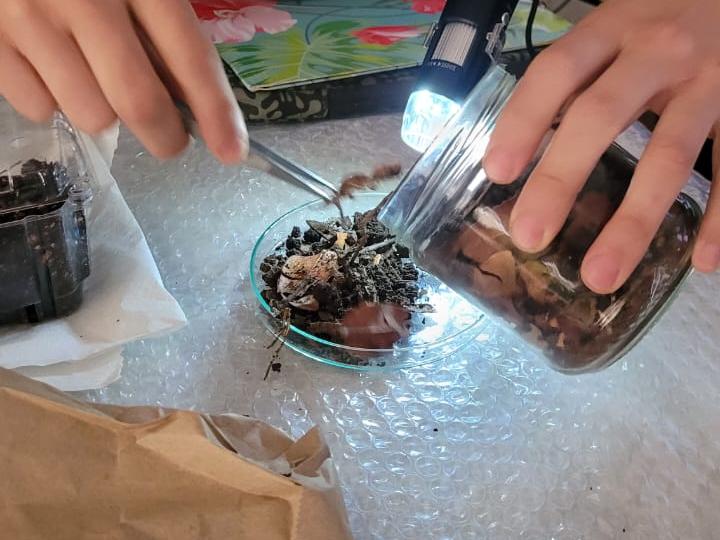 Miniatura