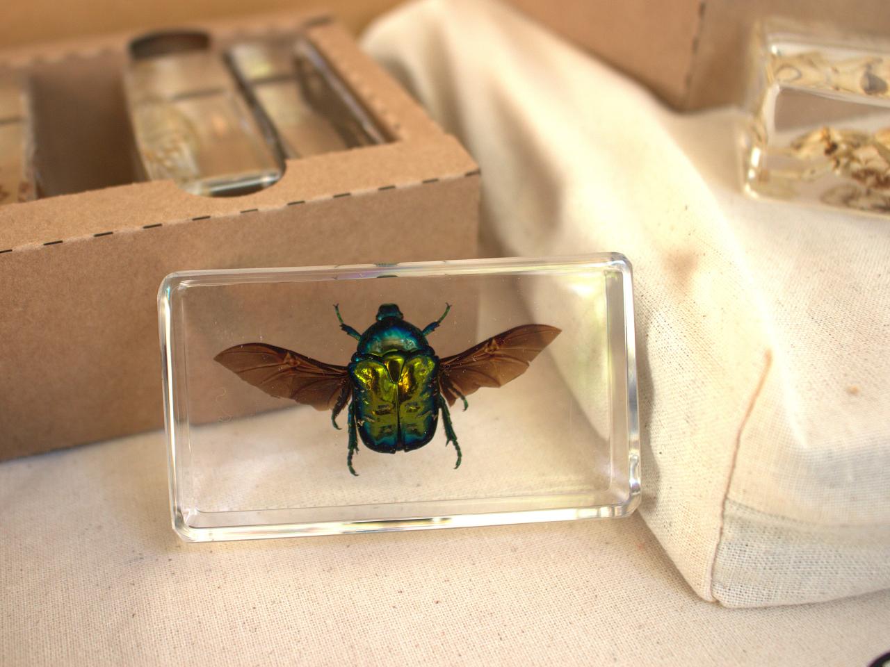 Miniatura