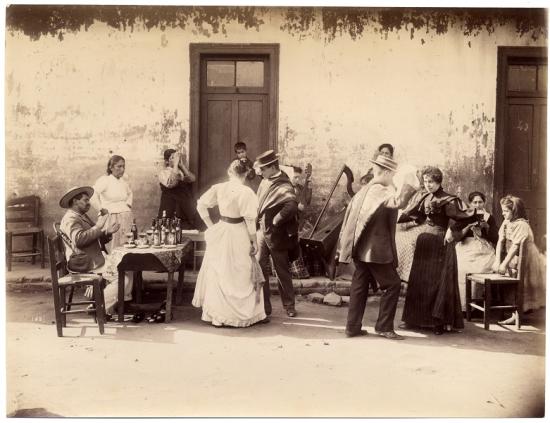 Fotografía Teodoro Kuhlmann 0106, técnica albúmina, soporte papel. Chile - Siglo XX. Colección Teodoro Kuhlmann Steffens - Biblioteca Científica M useo de Historia Natural de Valparaíso.