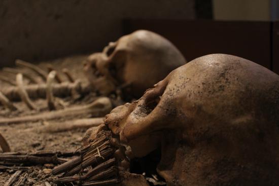 El 29 de este mes la arqueóloga del museo, Gabriela Carmona hará un recorrido virtual de la exposición "Chinchorro trascender a la muerte", que se encuentra en el hall central de la institución porteña.