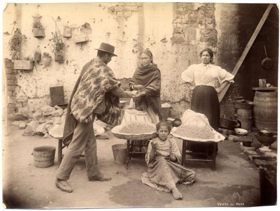 La muestra virtual, se inaugurará este 19 de agosto en el Museo de Historia Natural de Valparaíso (MHNV) en el marco de las actividades de conmemoración del Día Mundial de la Fotografía