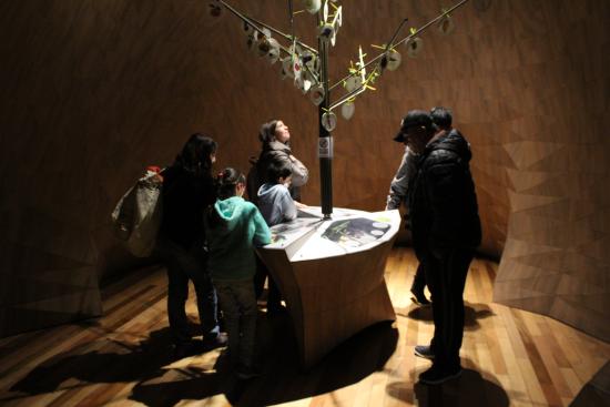 Recorridos y exposiciones virtuales, exhibiciones de documentales y cuenta cuentos en vivo, fueron sólo algunas de las iniciativas que la institución porteña preparó en este Día del Patrimonio virtual