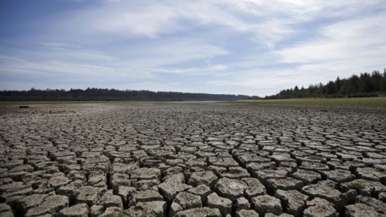 Actualidad de la Reserva Nacional del Lago Peñuela (fuente Emol)