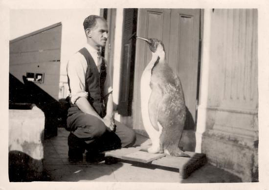 José Carpeneto observando su labor de taxidermia (un pingüino emperador)