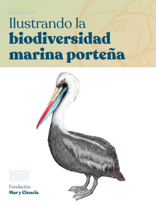 Portada libro en braille Ilustrando la biodiversidad marina porteña