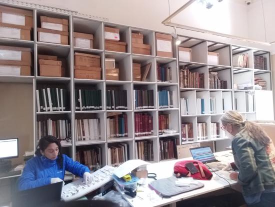 Profesionales del MHNV revisando el estado de conservación de la Colección Lodwing