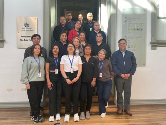 Equipo de trabajo 