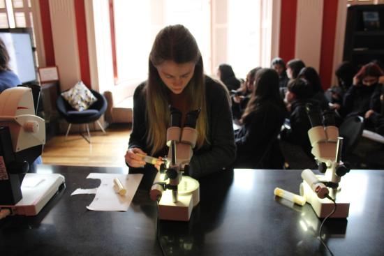 taller museolab