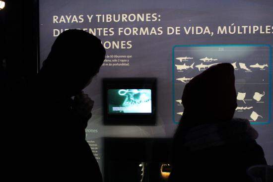 visita guiada