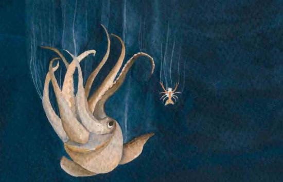 cuento infantil "la raya"