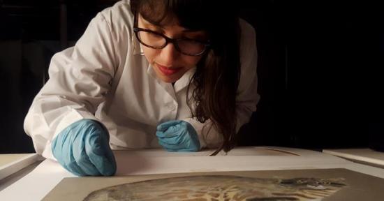 bibliotecologa del museo