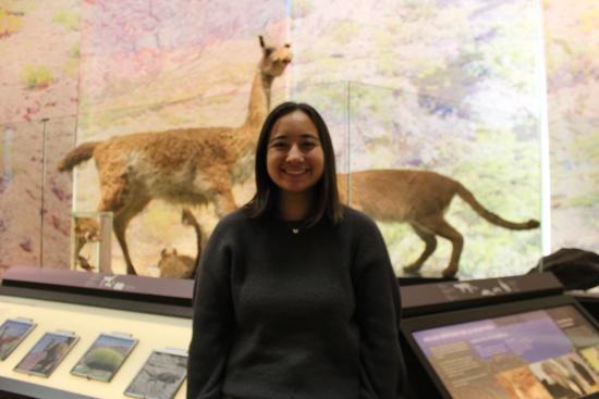Katherine Lawrence, estudiante proveniente de EE.UU culmina con éxito su pasantía en el Museo