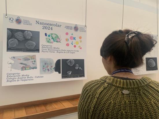 nanoescolar proyecto 