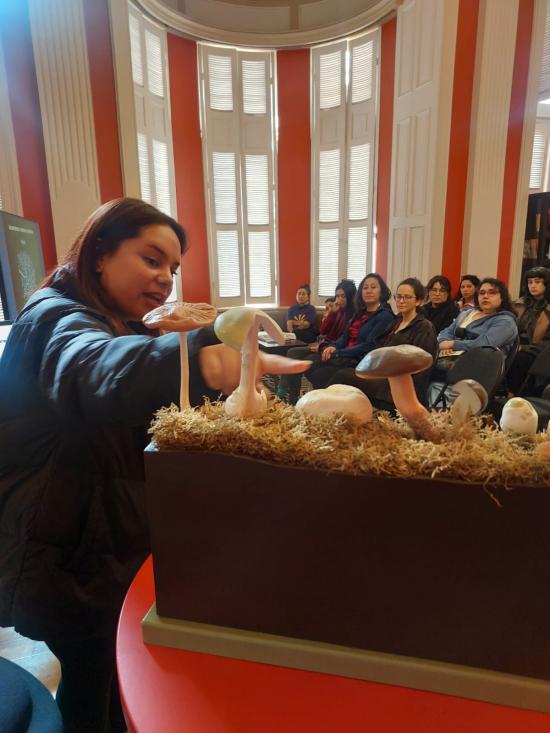 Charla mundo fungi