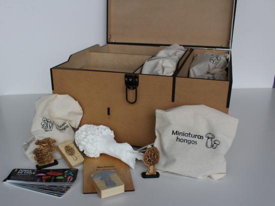 caja del descubrimiento fungi